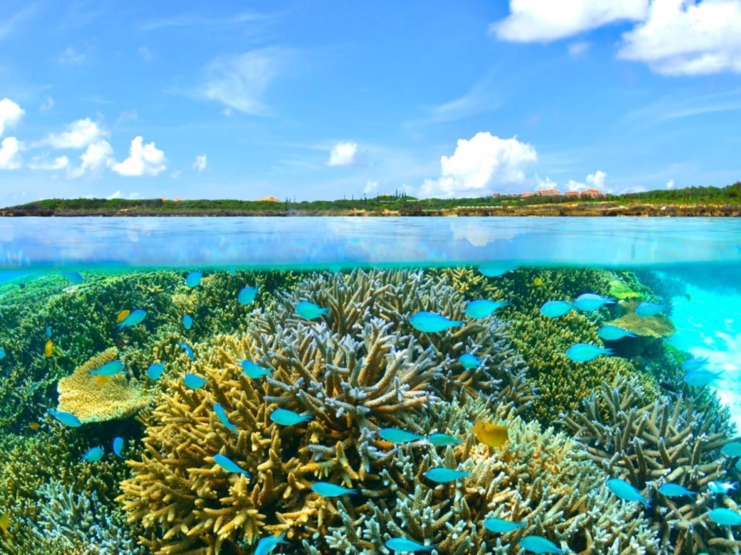 โรงแรมชิงิระ มิราจ Miyakojima  ภายนอก รูปภาพ