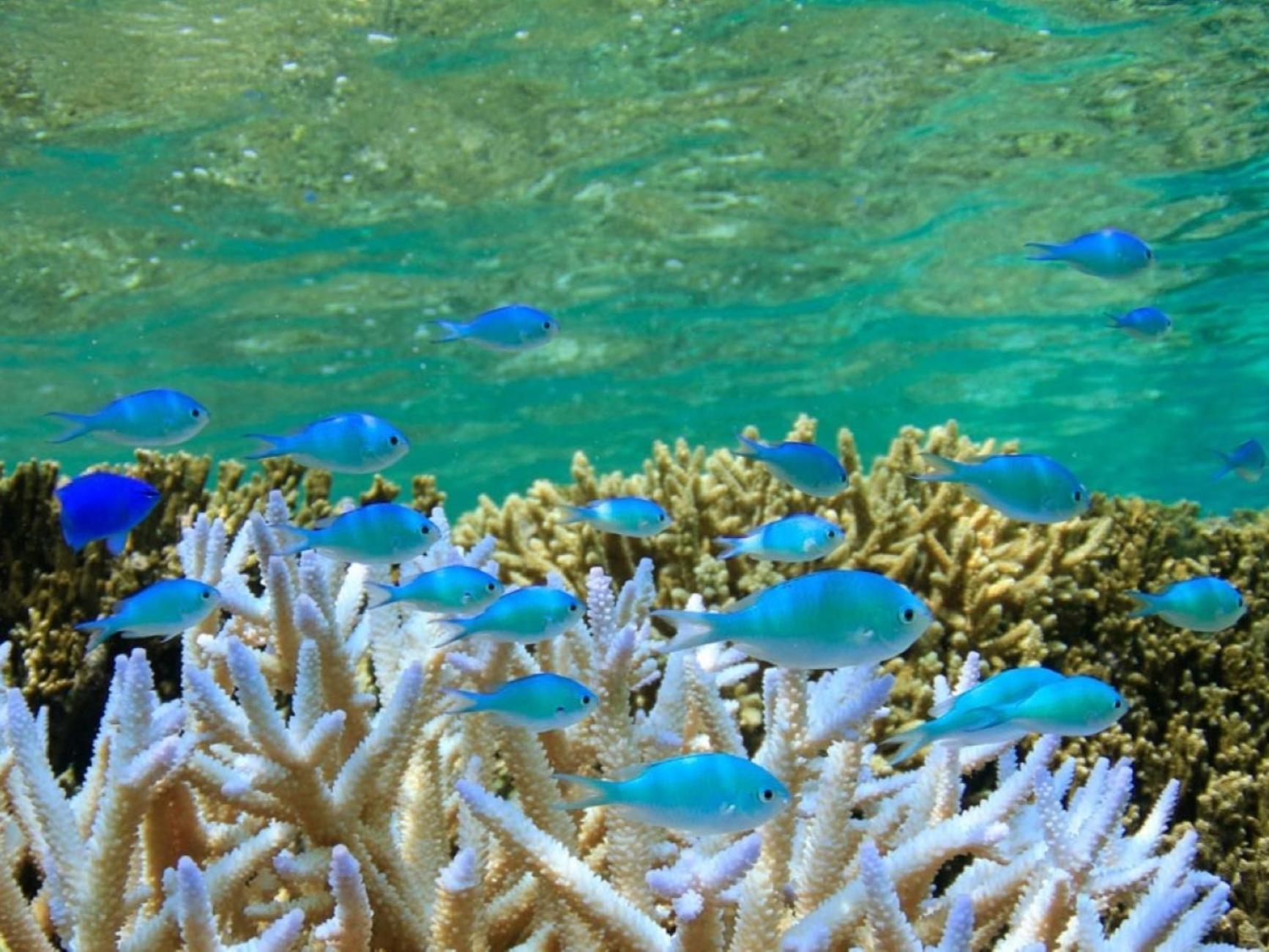 โรงแรมชิงิระ มิราจ Miyakojima  ภายนอก รูปภาพ